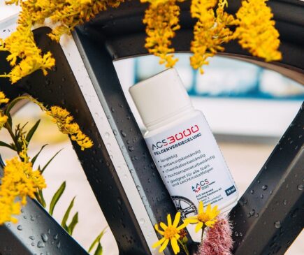 imgi_57_75305210_435028487445303_8084228804248266271_n